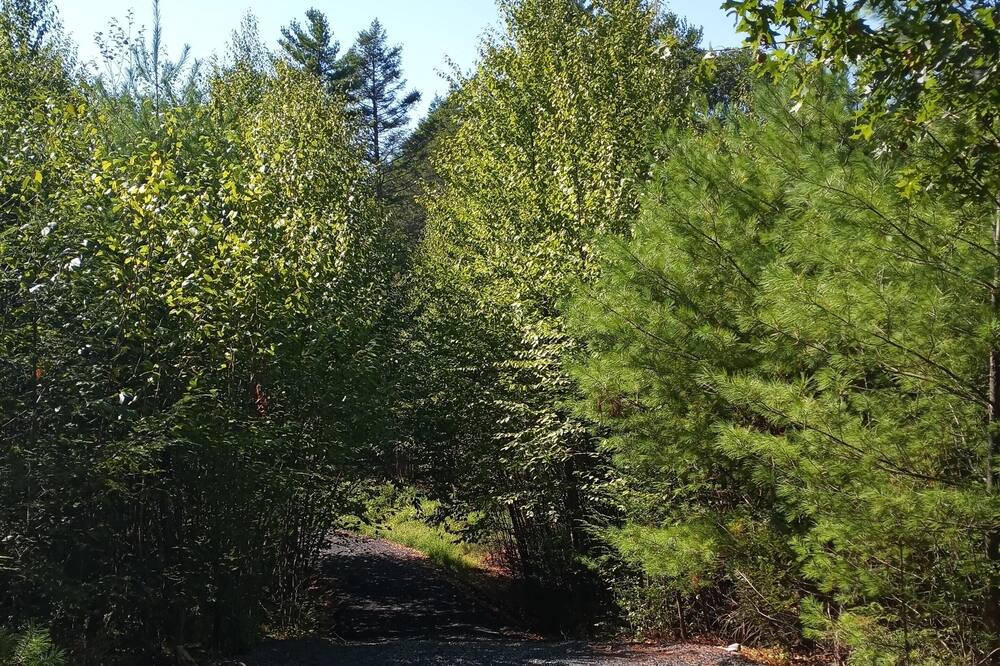 Photo of Others in Sparrow Bush