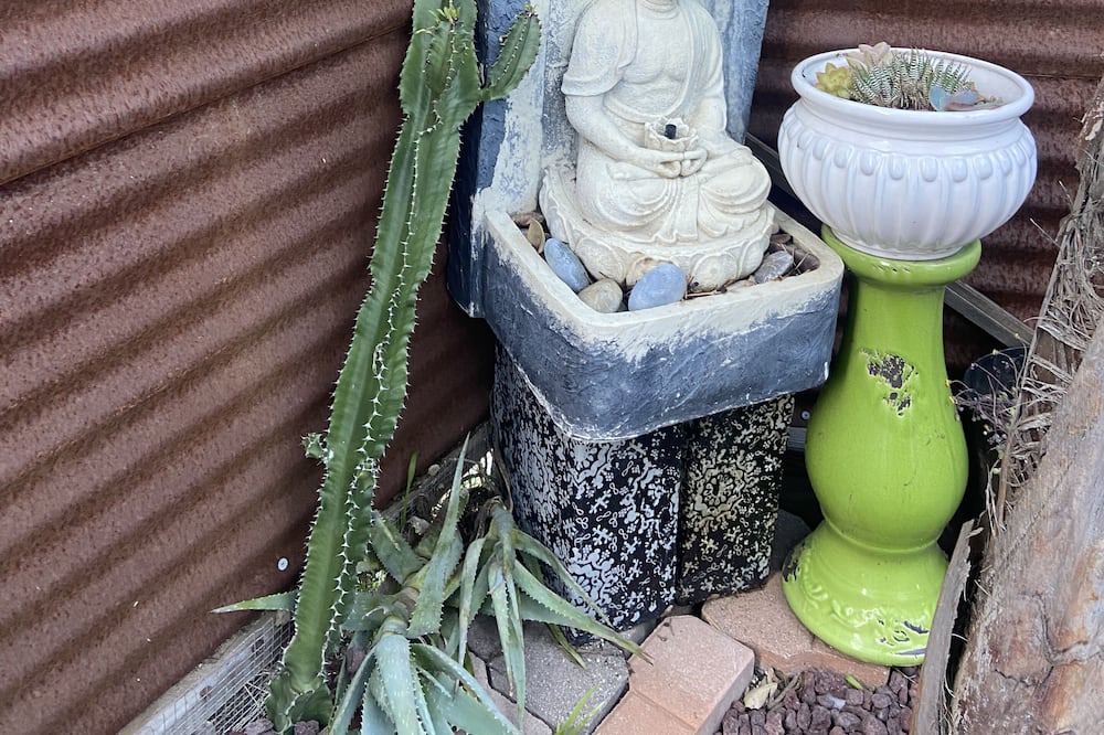 Photo of Outdoor in Eagle Rock