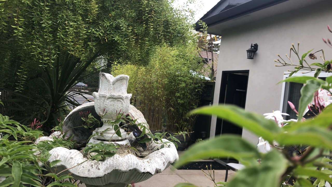 Photo of Outdoor in Aptos