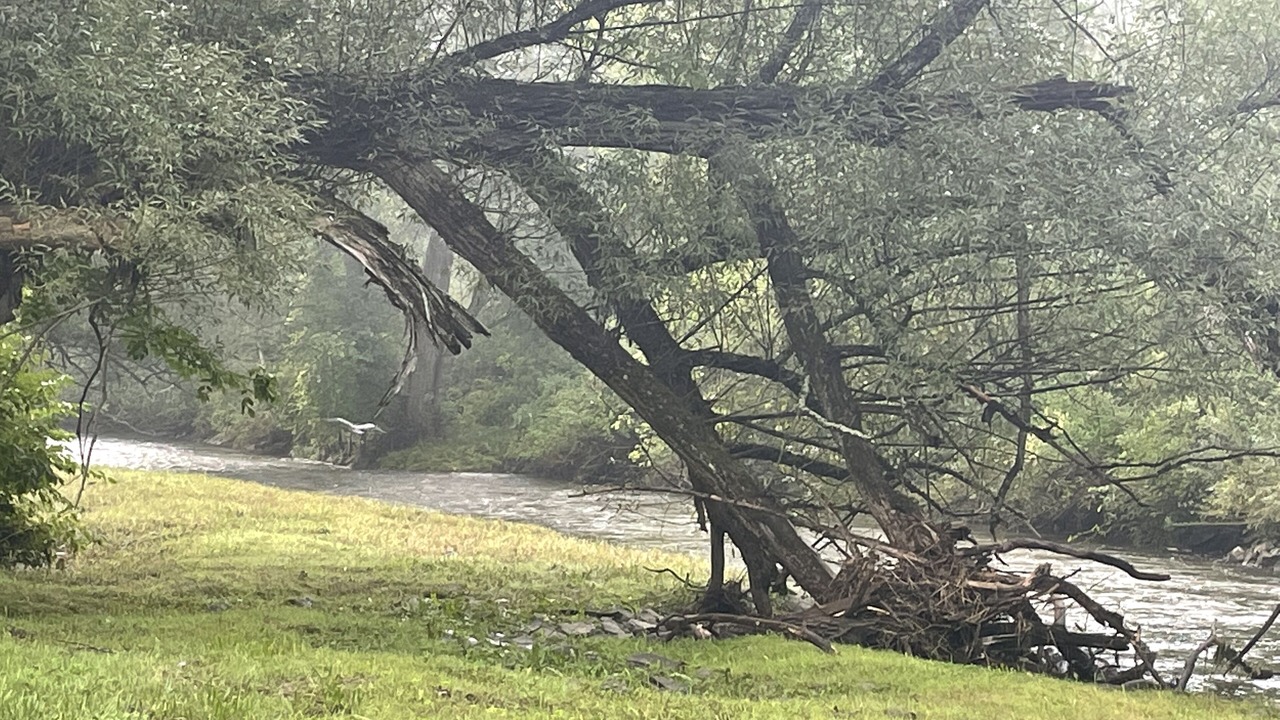 Photo of Outdoor in Black Creek