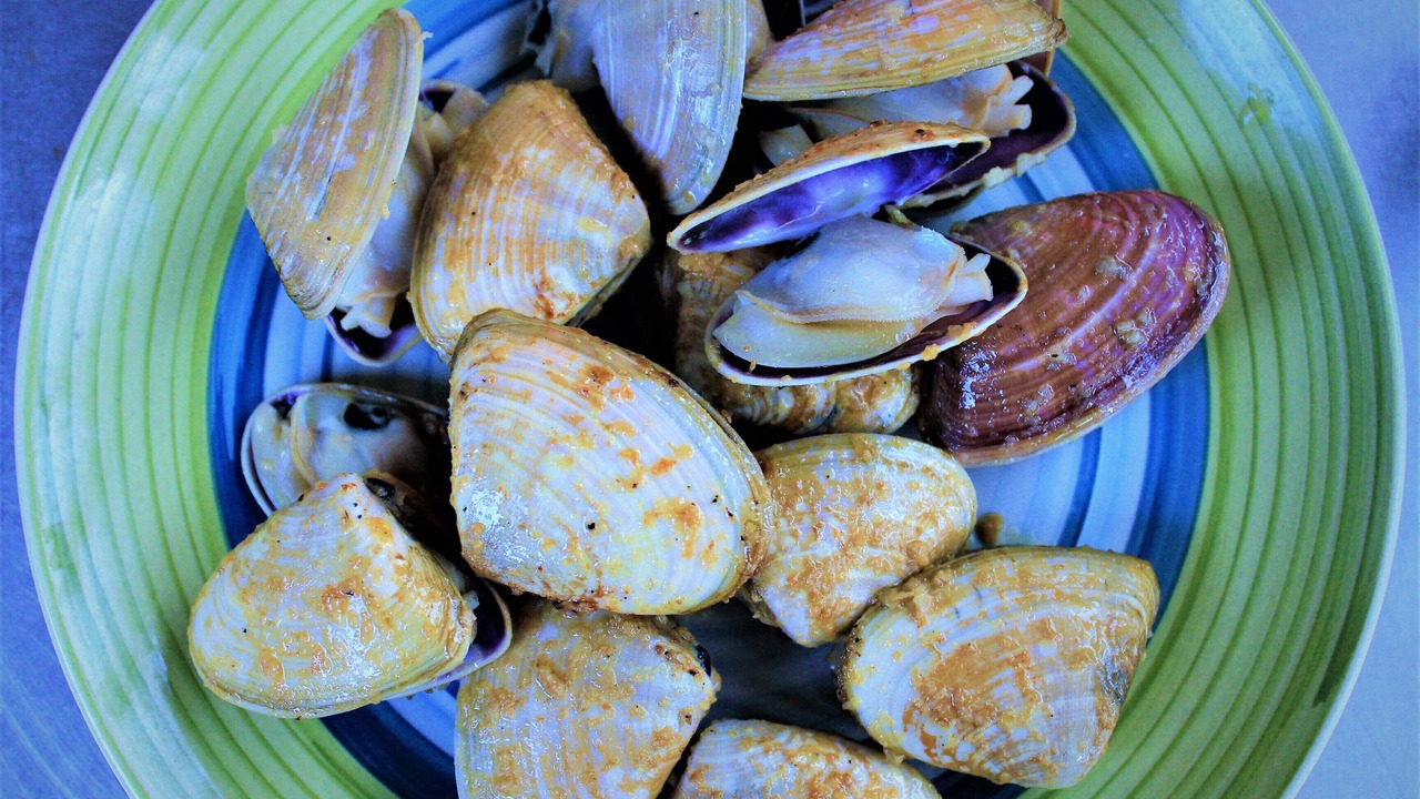 Photo of Others in Fraser Coast