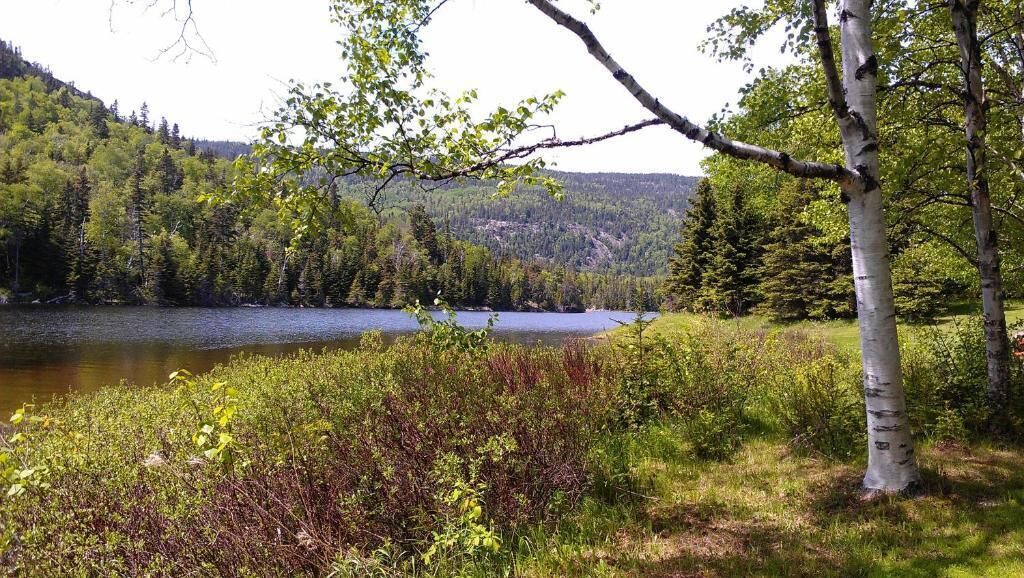 Photo of Others in Tadoussac