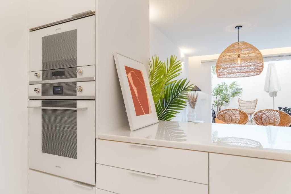 Photo of Kitchen in Santo Amaro