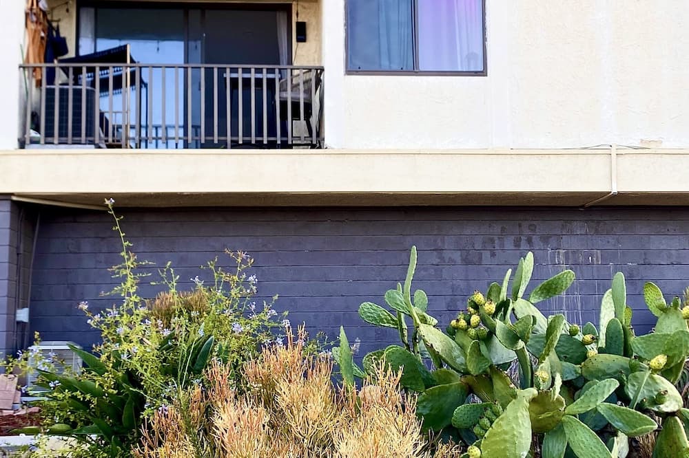 Photo of Outdoor in Alamitos Beach