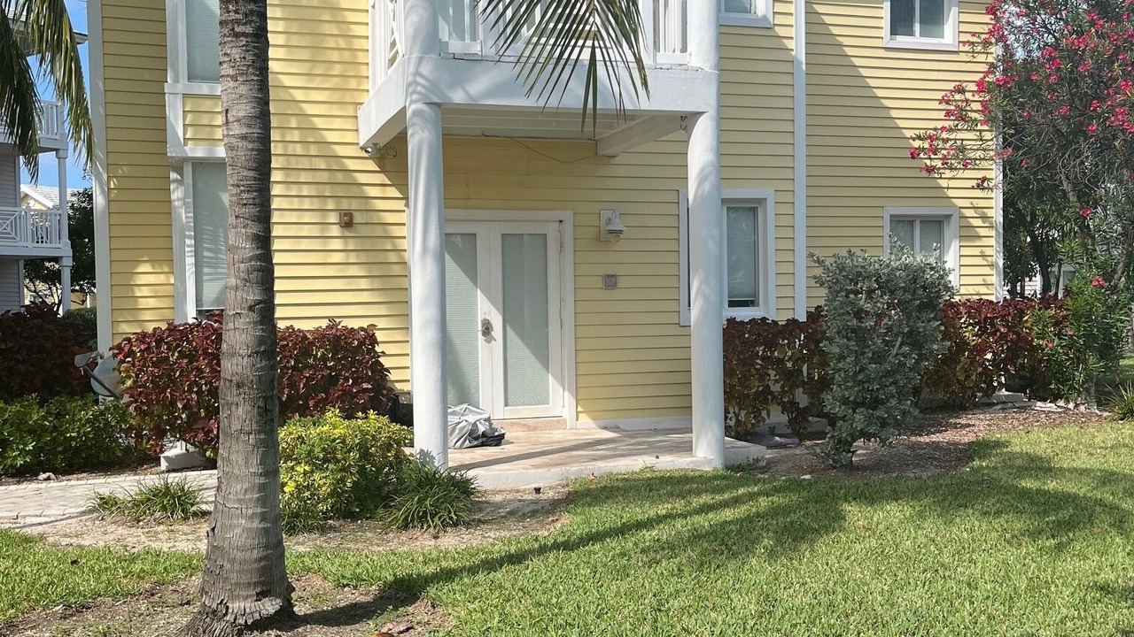 Photo of Outdoor in Alice Town