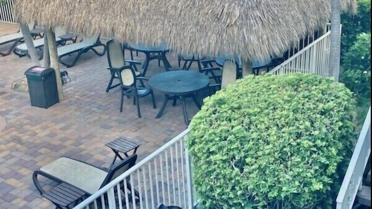 Photo of Outdoor in Hillsboro Beach