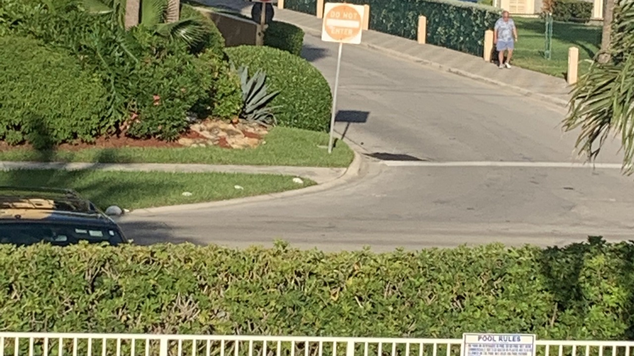Photo of Outdoor in Hillsboro Beach