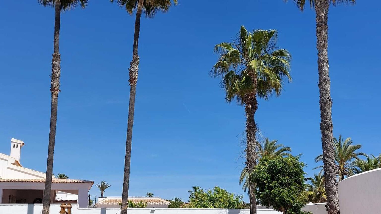 Photo of Outdoor in Orihuela Costa