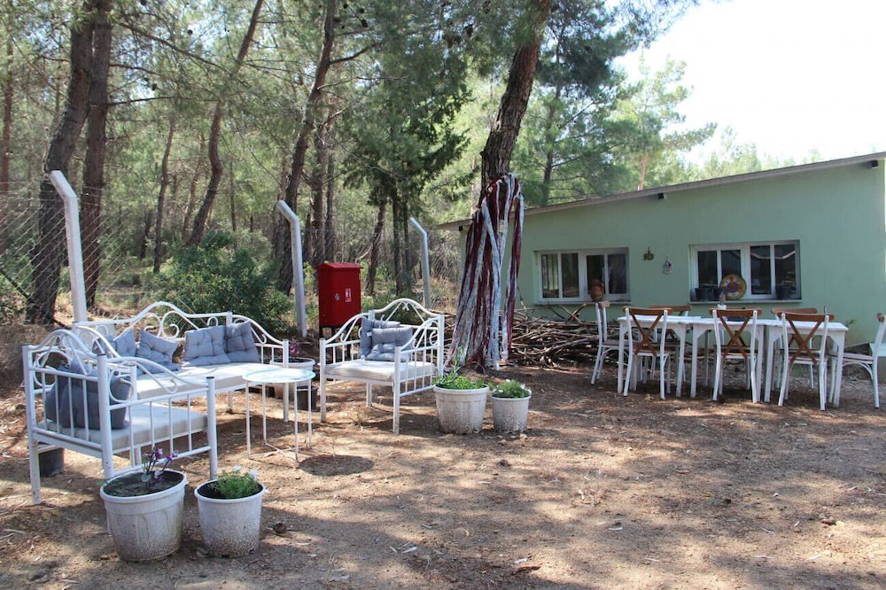 Photo of Others in Selcuk