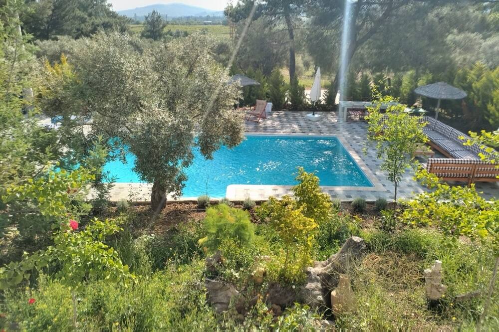 Photo of Others in Selcuk