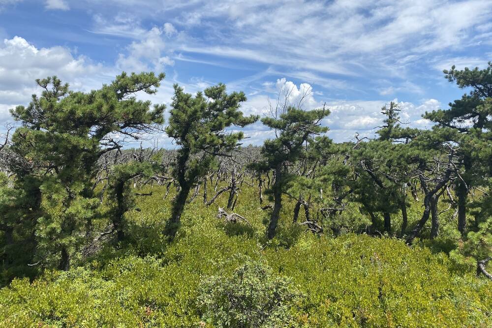 Photo of Outdoor in Thompson Ridge