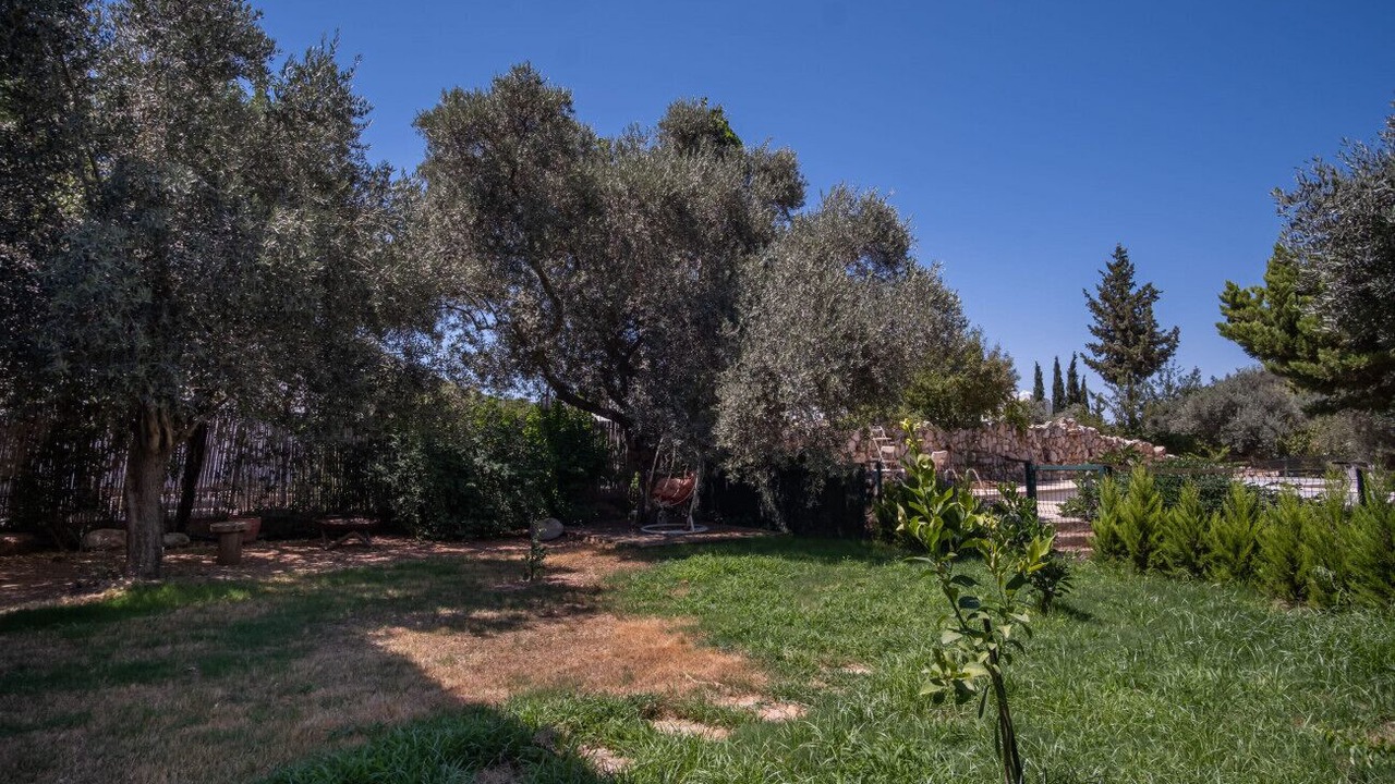 Photo of Outdoor in Torba