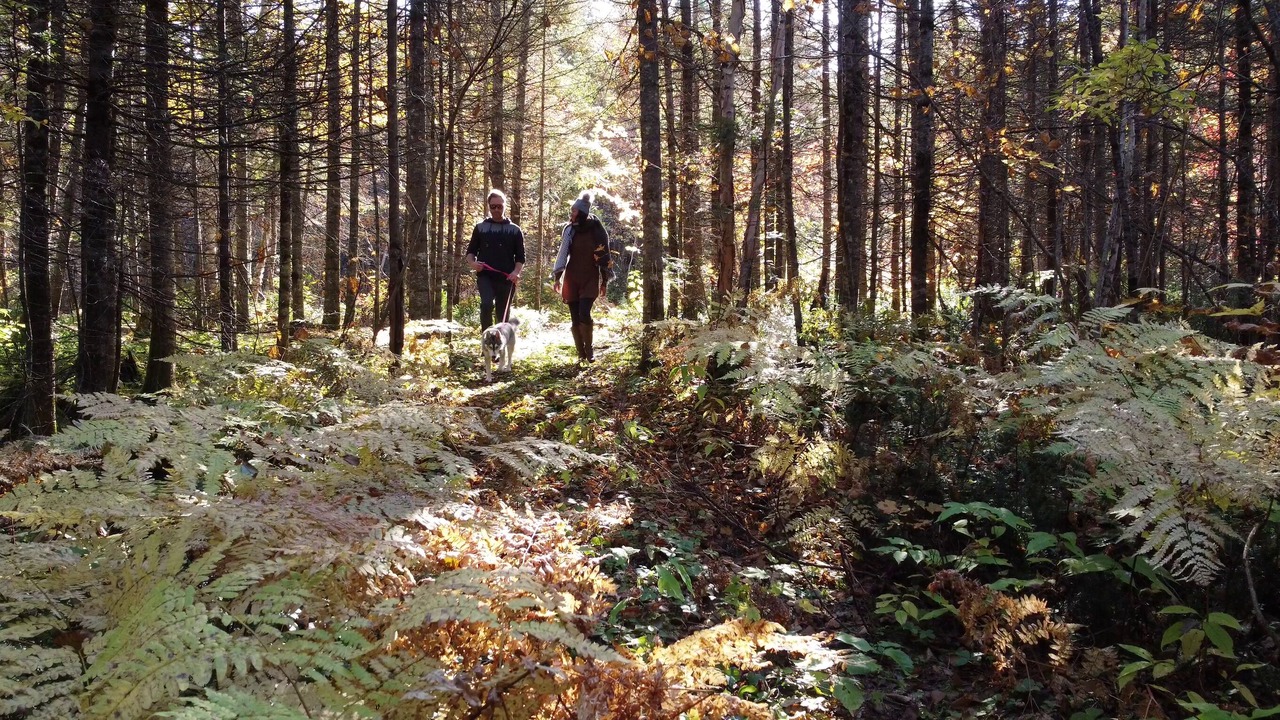 Photo of Outdoor in Sainte Rose du Nord