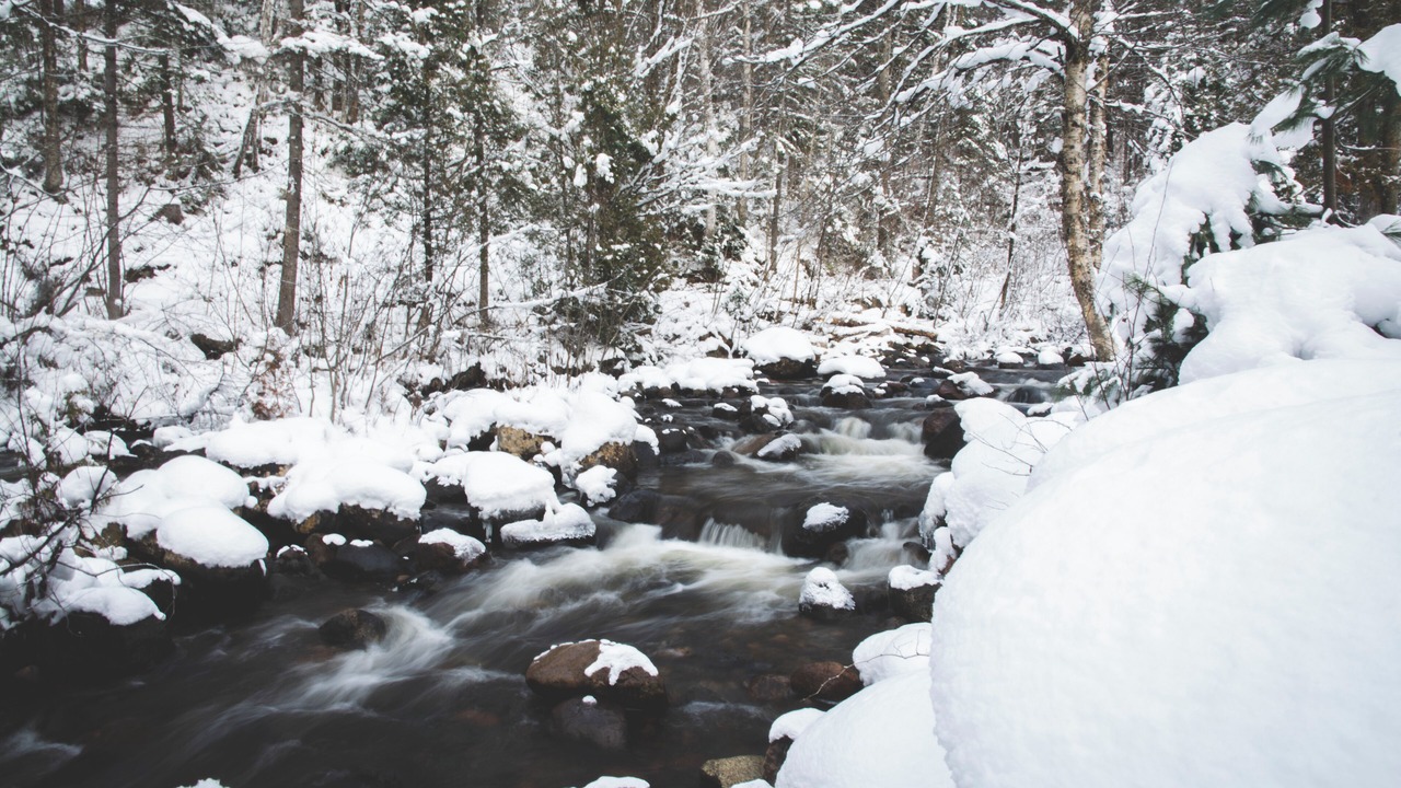 Photo of Outdoor in Sainte Rose du Nord