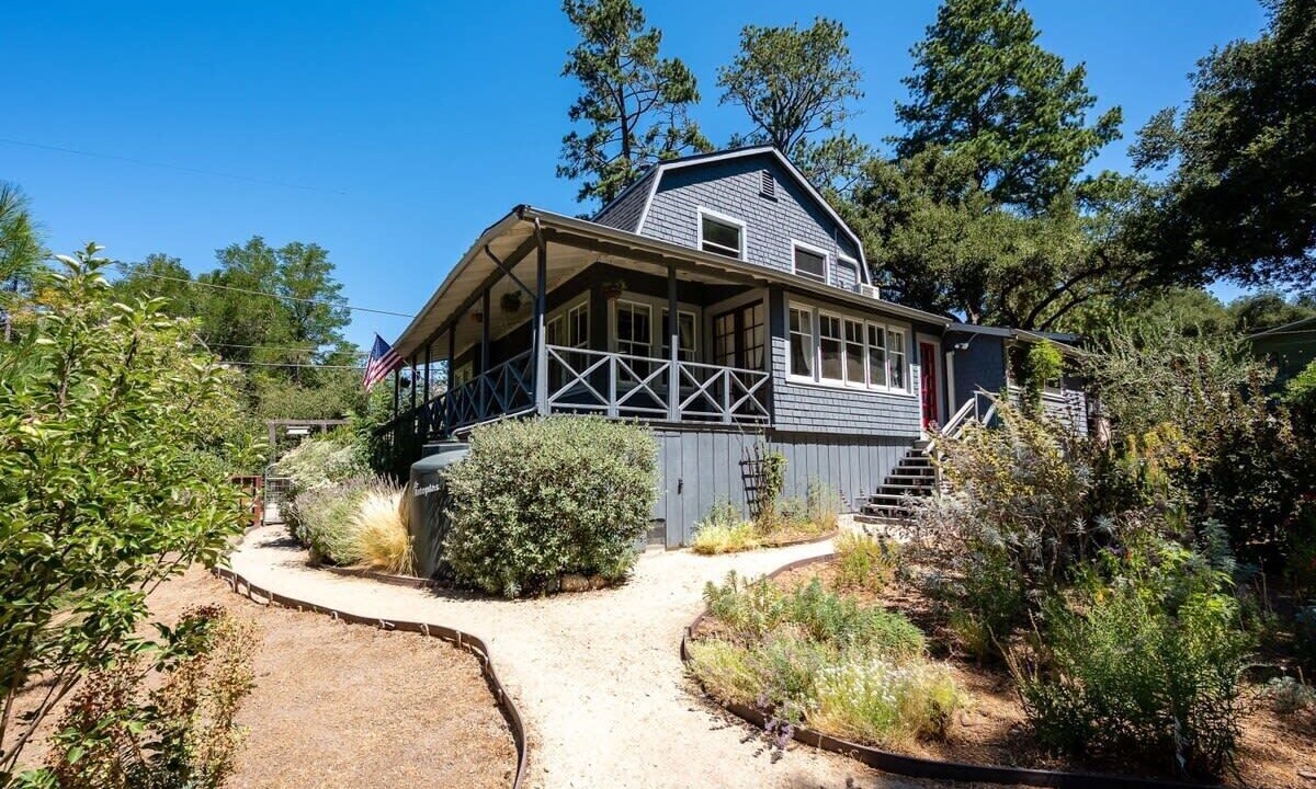 Photo of Outdoor in Ben Lomond