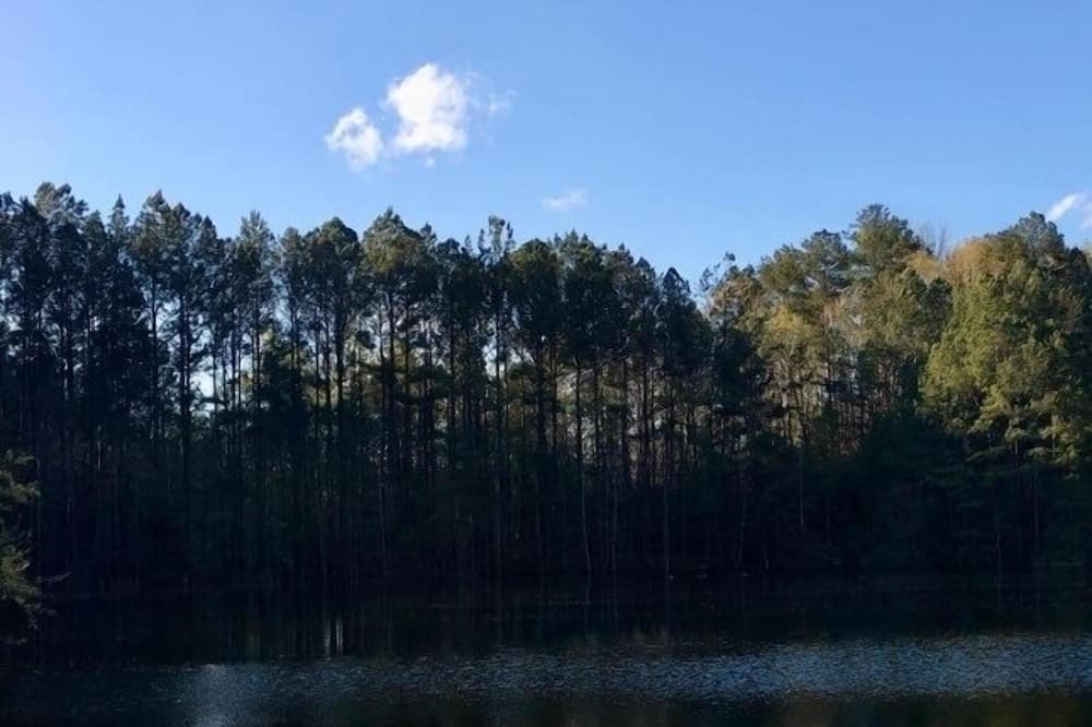 Photo of Outdoor in Hollins