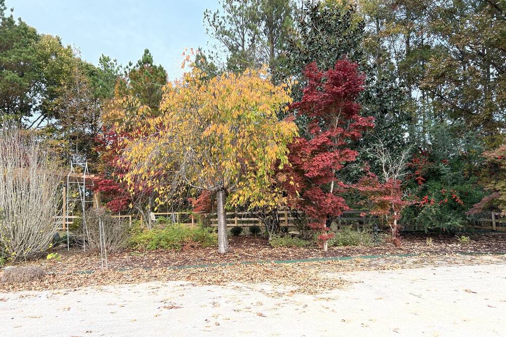 Photo of Outdoor in Hollins