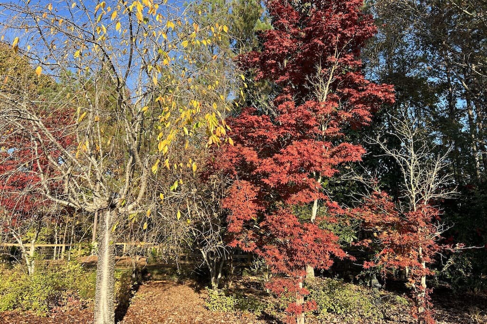Photo of Outdoor in Hollins