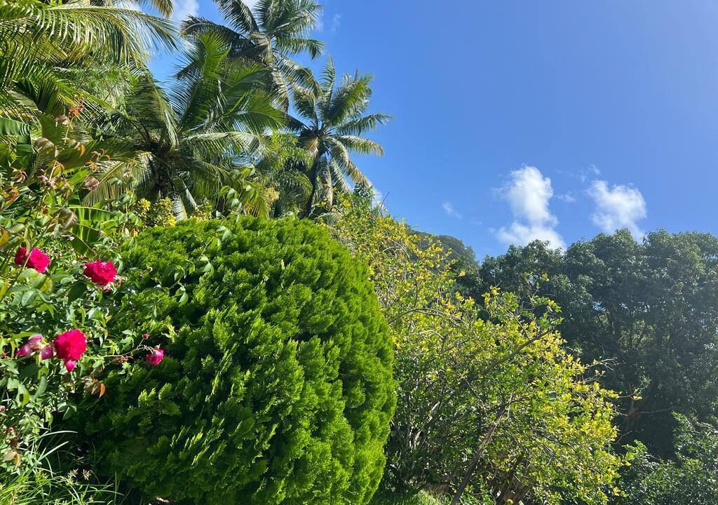 Photo of Outdoor in Mahe Island