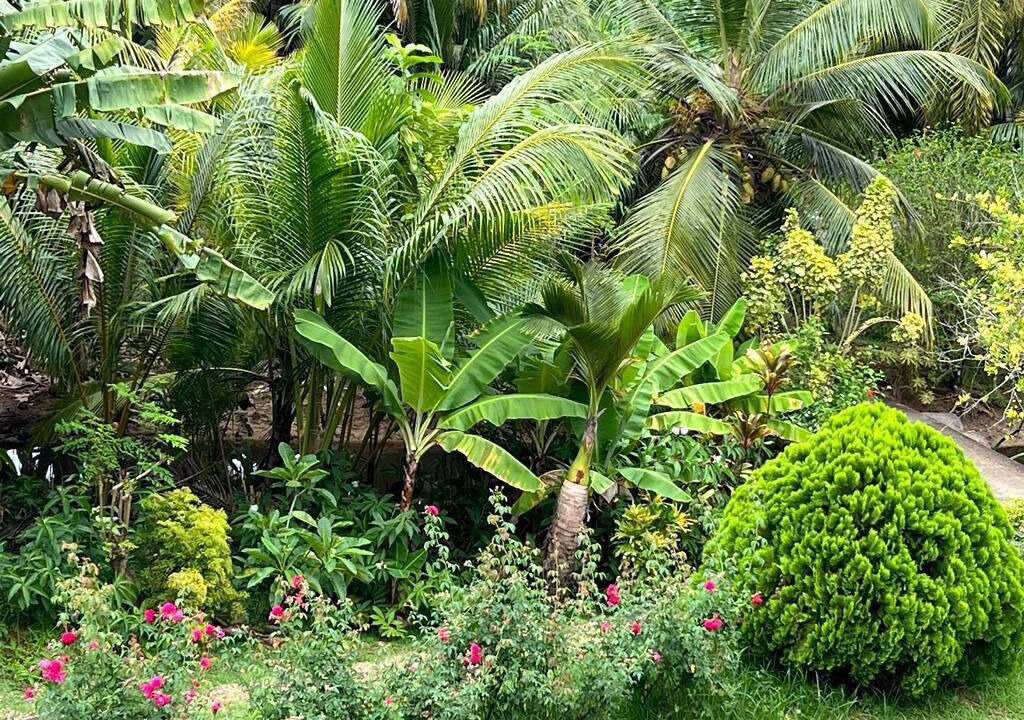 Photo of Outdoor in Mahe Island