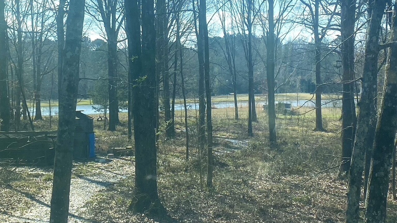 Photo of Outdoor in Starkville