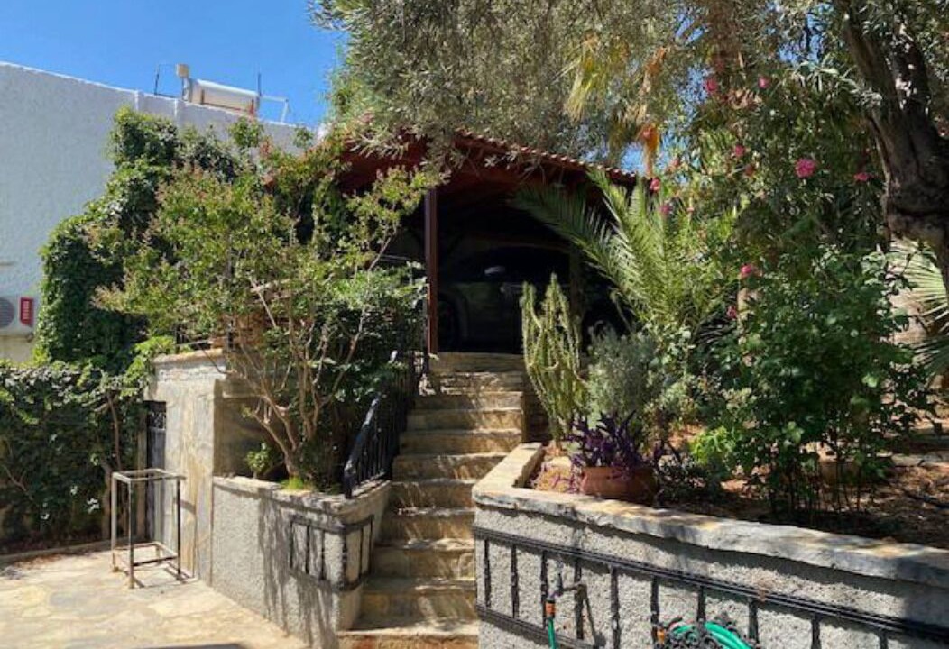 Photo of Outdoor in Torba