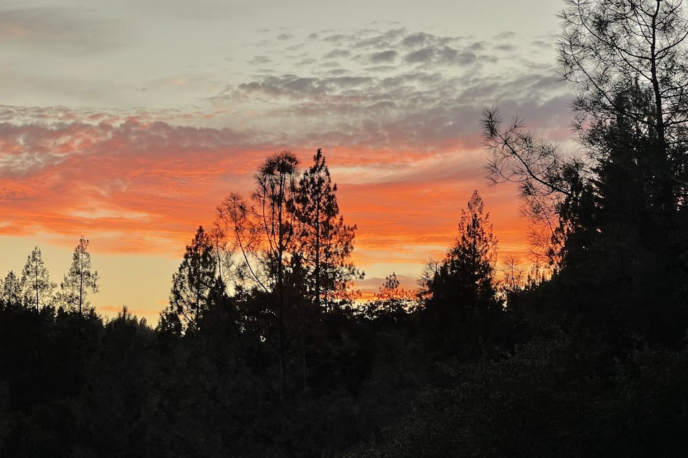 Photo of Outdoor in Sutter Creek
