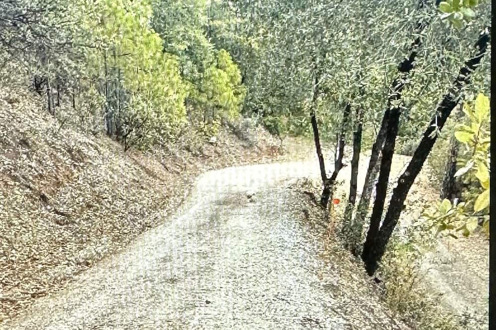 Photo of Outdoor in Sutter Creek