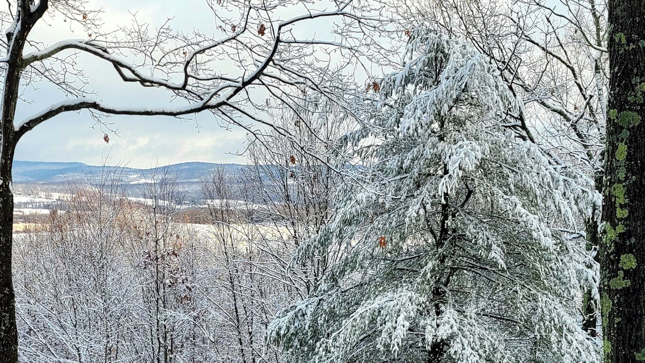 Photo of Others in Copake Lake