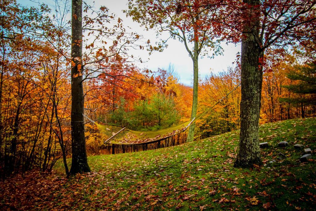 Photo of Outdoor in Copake Lake
