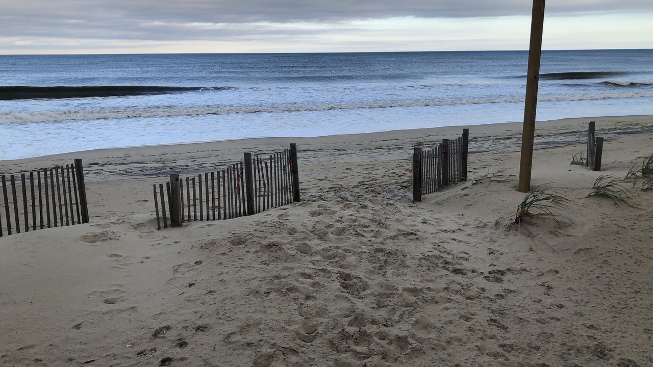 Photo of Others in Kitty Hawk