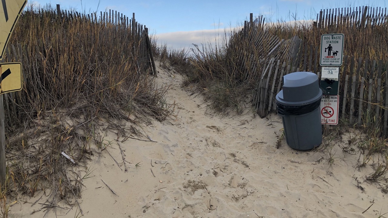 Photo of Others in Kitty Hawk