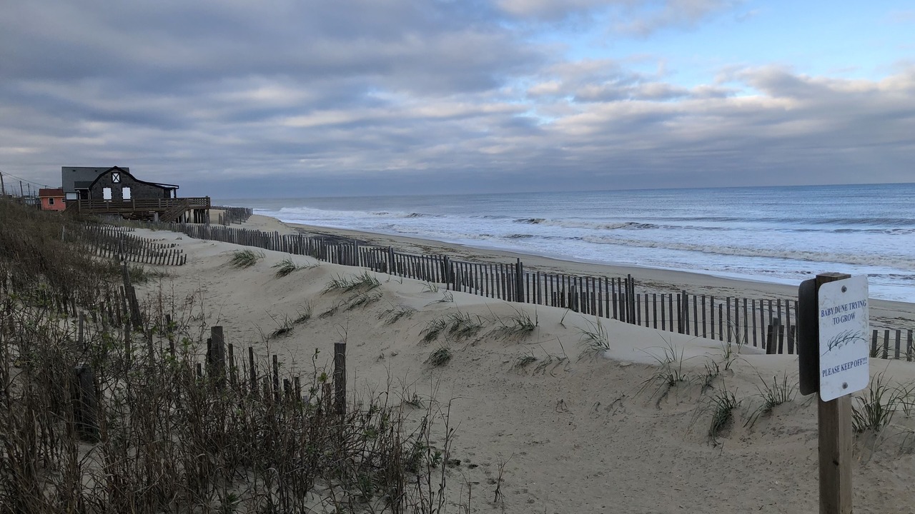 Photo of Others in Kitty Hawk