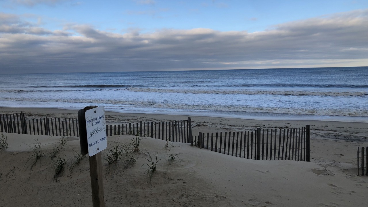 Photo of Others in Kitty Hawk