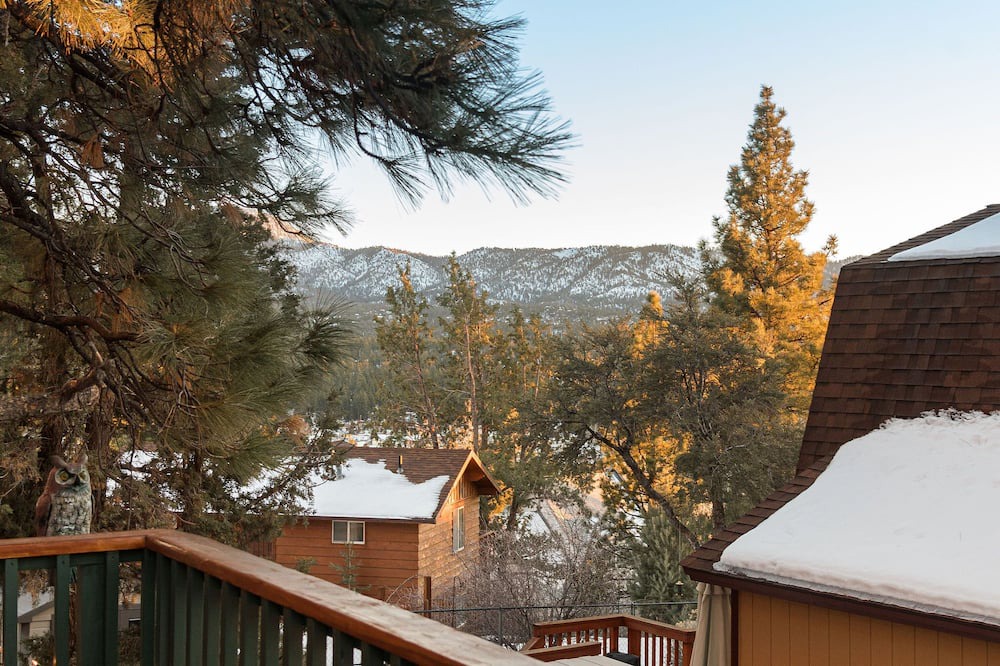 Photo of Outdoor in Whispering Forest