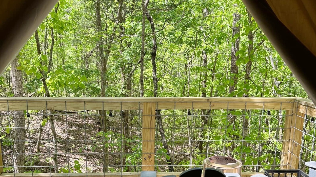 Photo of Outdoor in Talladega