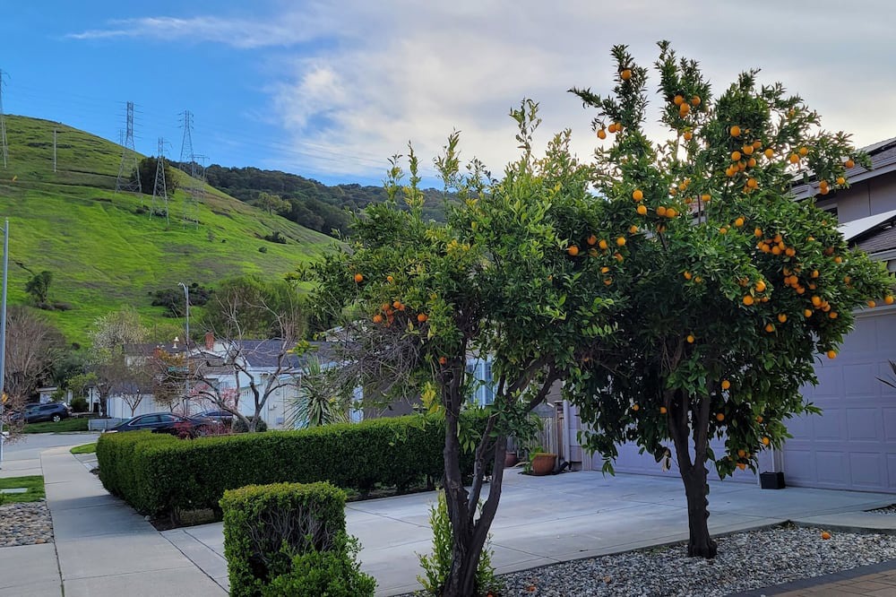 Photo of Outdoor in Edenvale