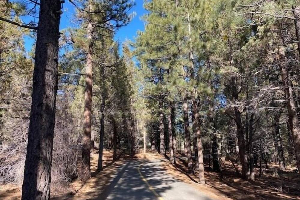 Photo of Outdoor in Big Bear City