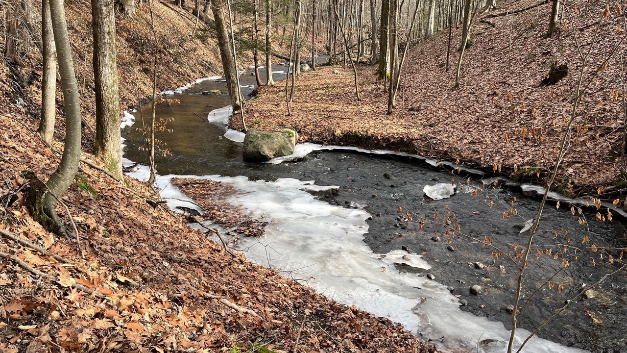 Photo of Outdoor in Pine Bush
