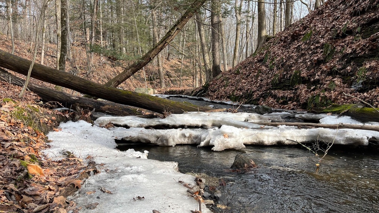 Photo of Outdoor in Pine Bush