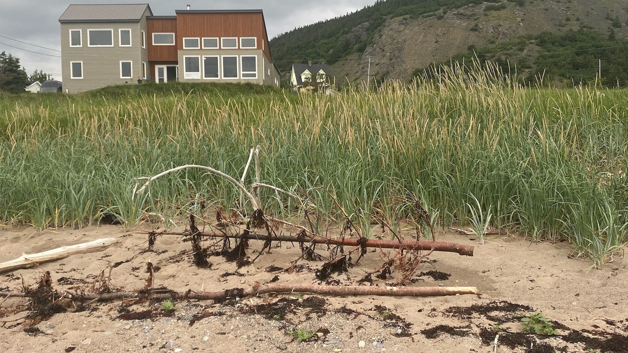 Photo of Outdoor in Norris Point