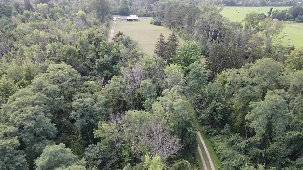 Photo of Outdoor in Fredonia