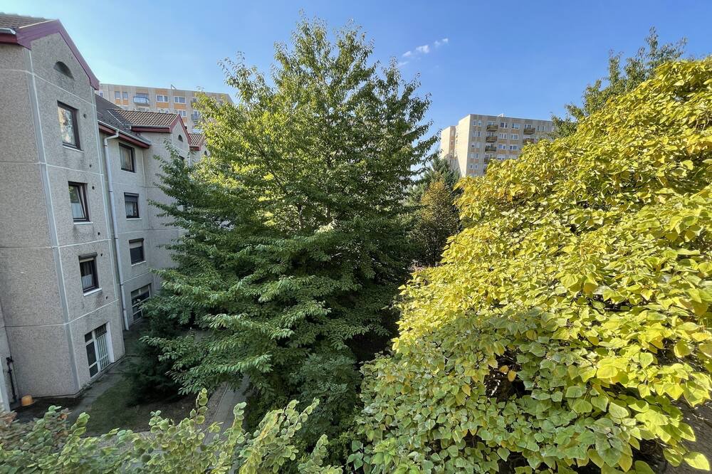 Photo of Outdoor in 13th District