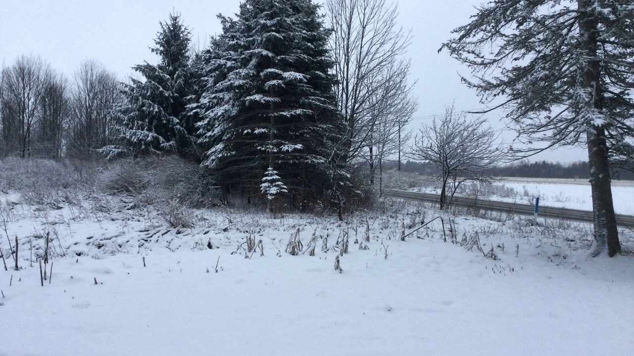Photo of Outdoor in Glenwood