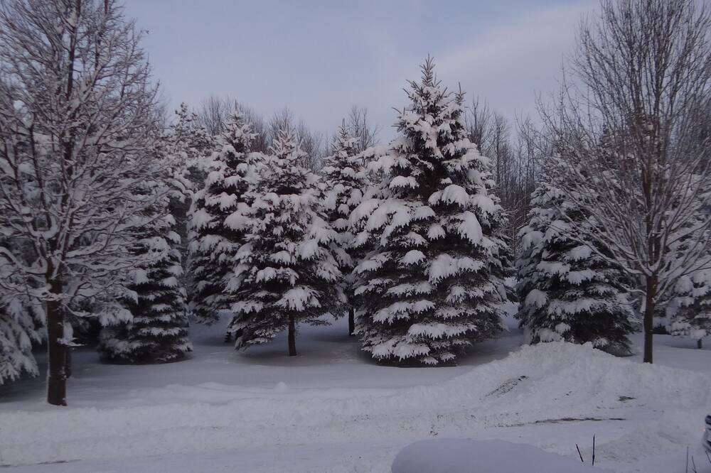 Photo of Outdoor in Elora