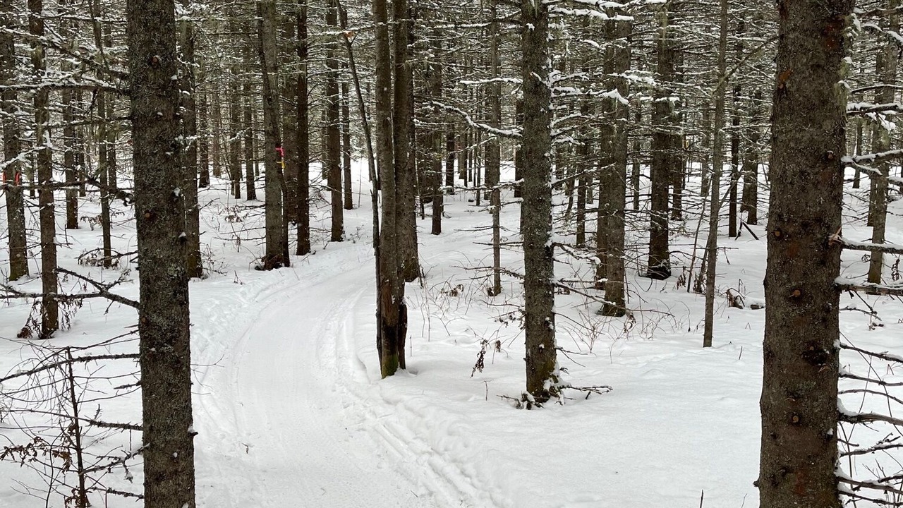 Photo of Others in L'Anse-Saint-Jean
