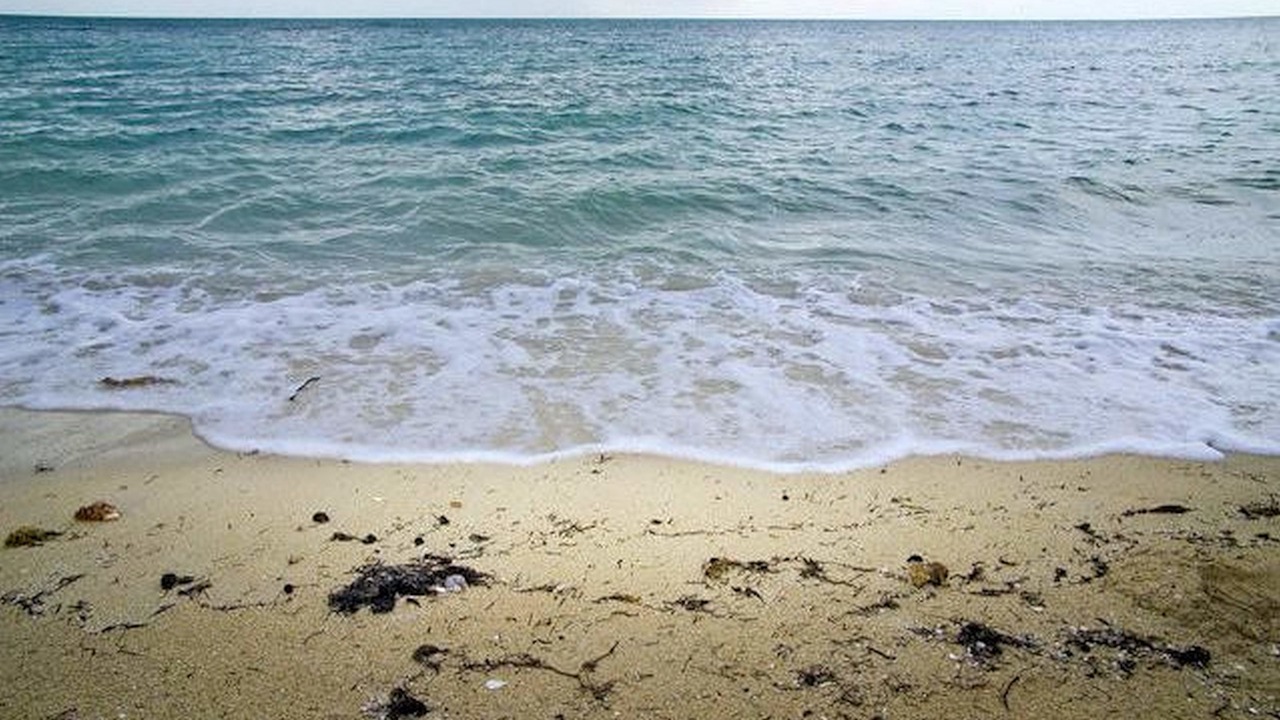 Photo of Others in Coral Harbour