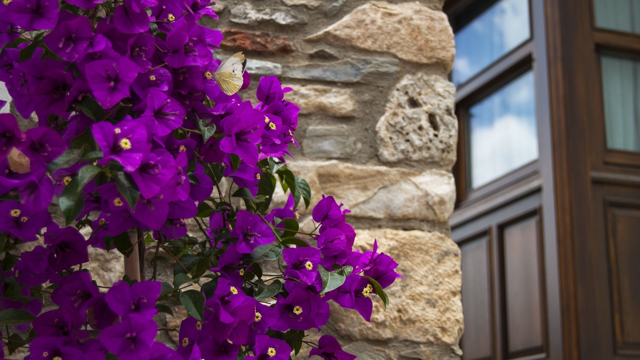 Photo of Outdoor in Selcuk