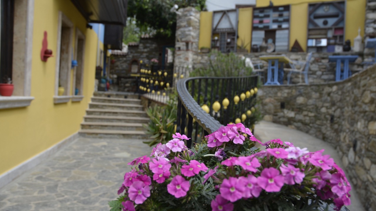 Photo of Outdoor in Selcuk