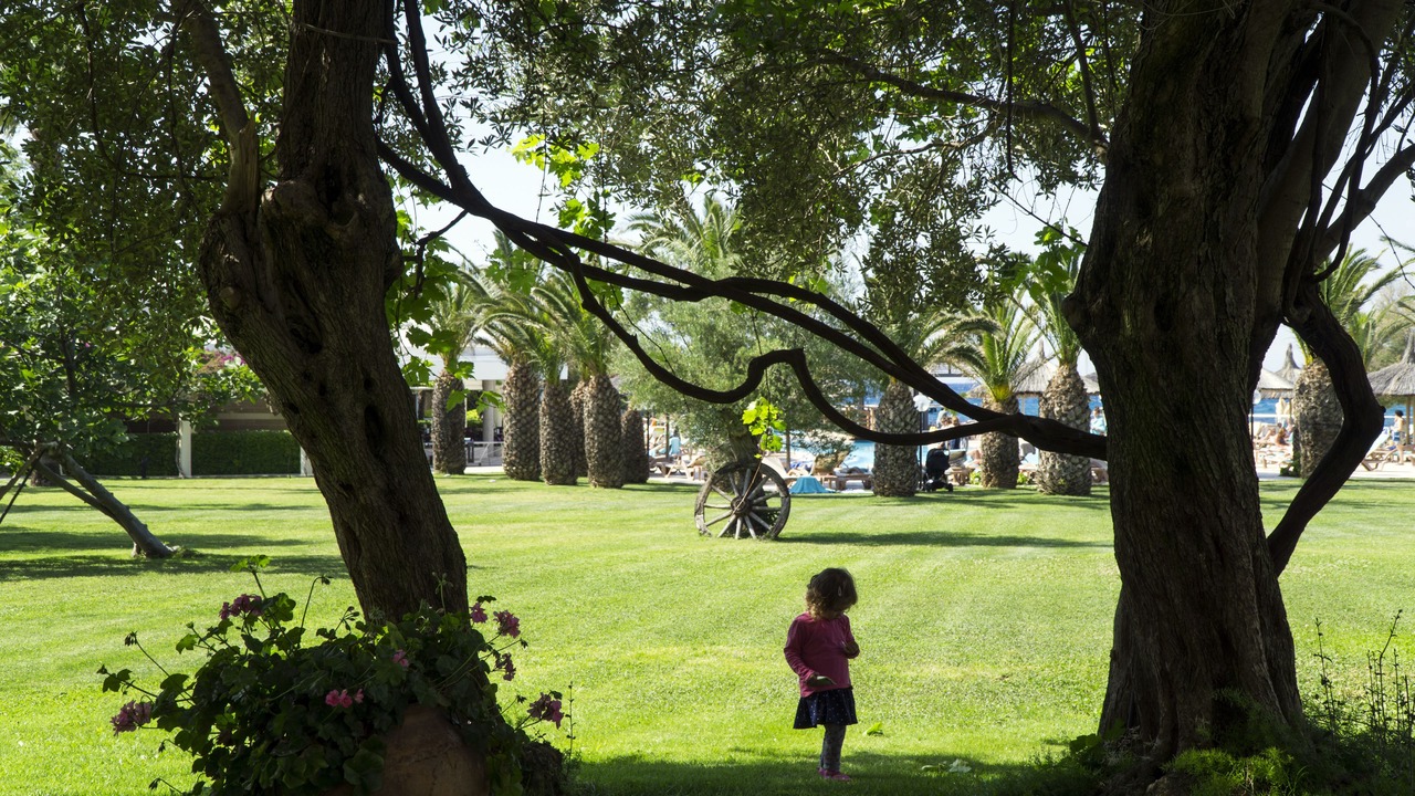 Photo of Outdoor in Torba